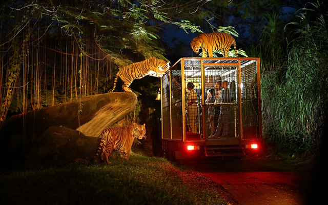 Экскурсии на бали, Night at Safari Bali, Safari and marine park Bali